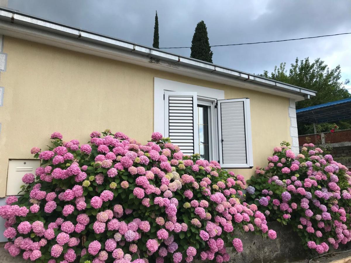 Etno Village Mihailovic ヘルツェグ・ノヴィ エクステリア 写真