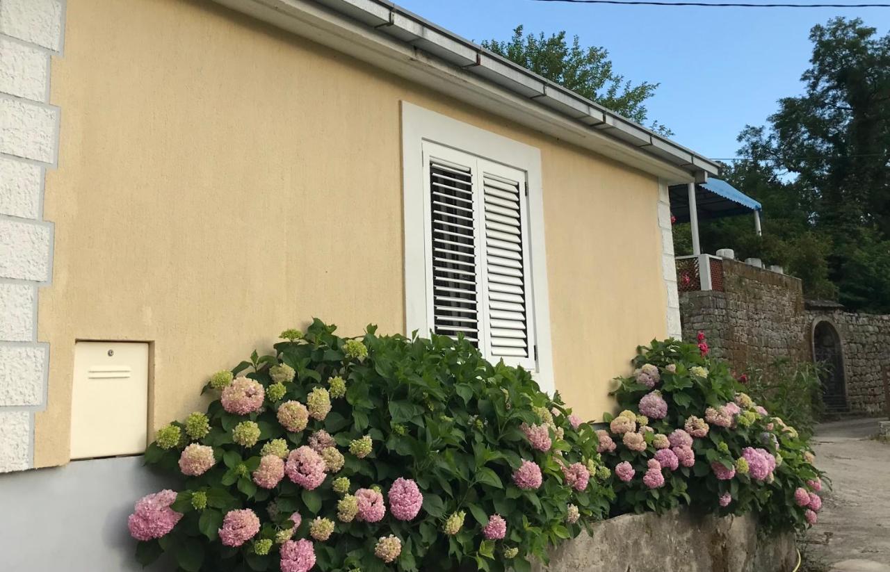 Etno Village Mihailovic ヘルツェグ・ノヴィ エクステリア 写真