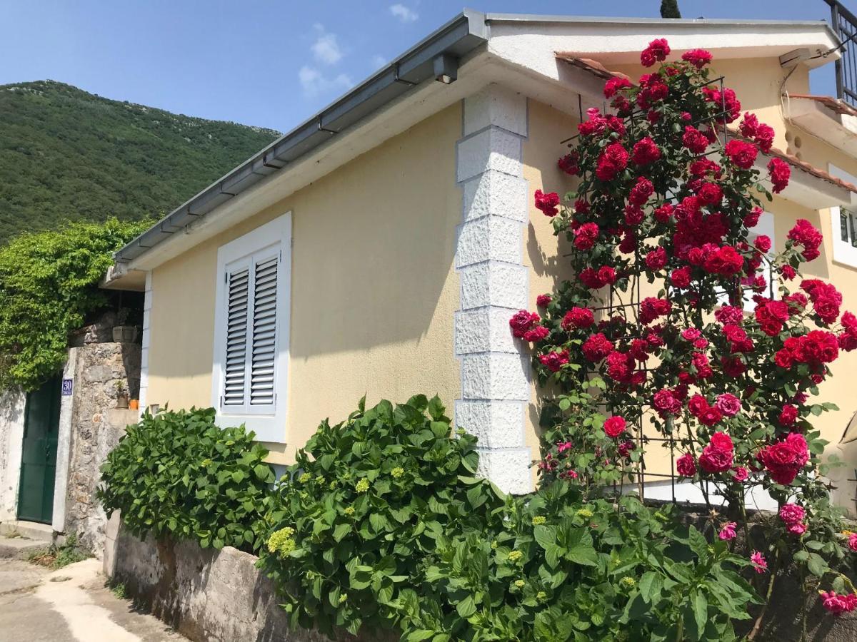 Etno Village Mihailovic ヘルツェグ・ノヴィ エクステリア 写真
