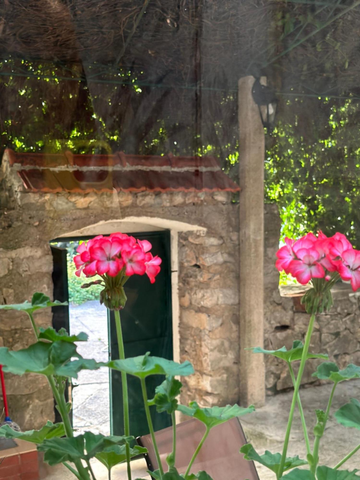 Etno Village Mihailovic ヘルツェグ・ノヴィ エクステリア 写真